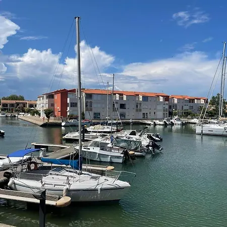 Apartment St Cyprien Standing Confort Et Piscine *